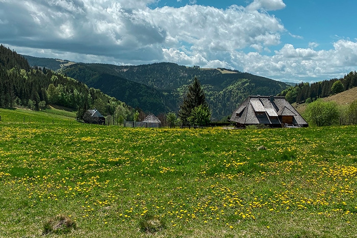 schwarzwald-landschaft