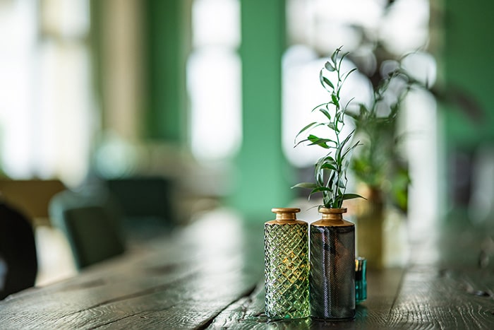 Vases NATURE (Silva & Solis)