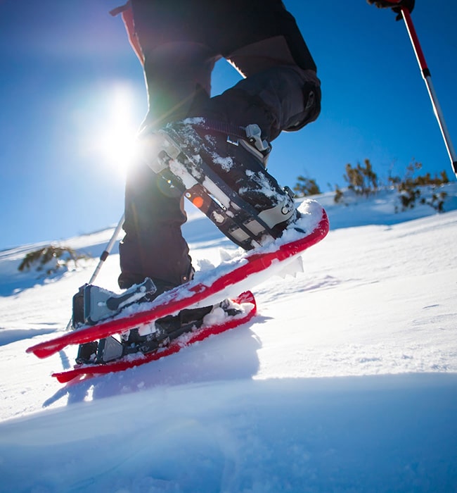 Nature Titisee –Winter