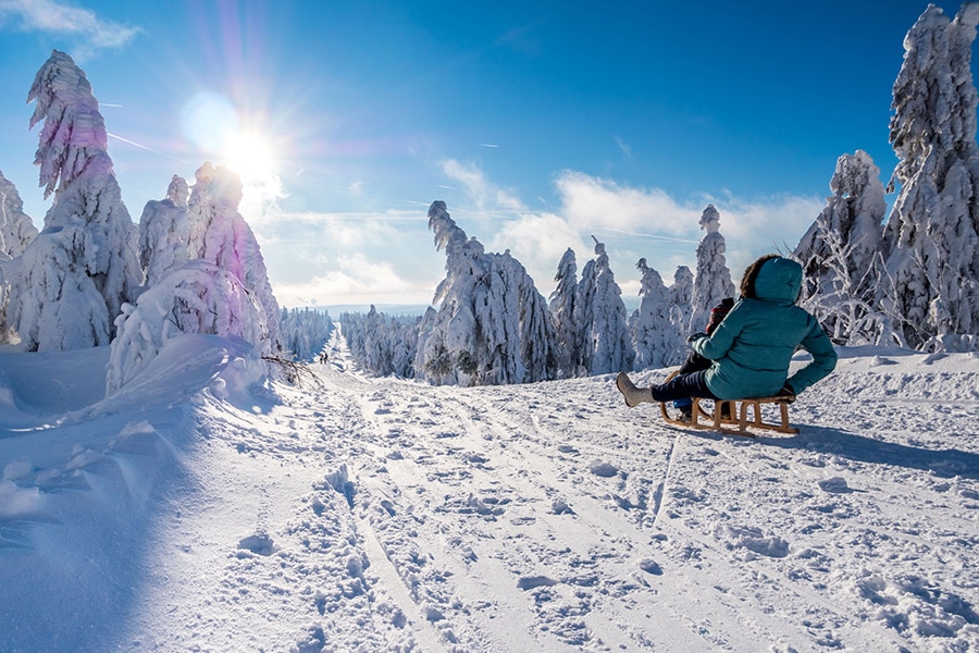 visit black forest in winter